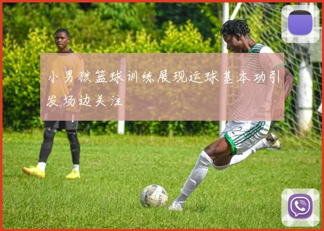 小男孩篮球训练展现运球基本功引发场边关注